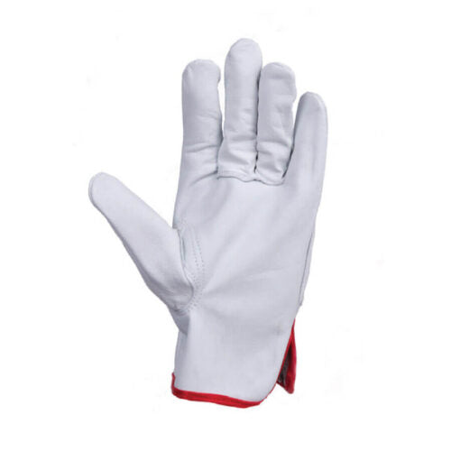 Executive Leather Glove