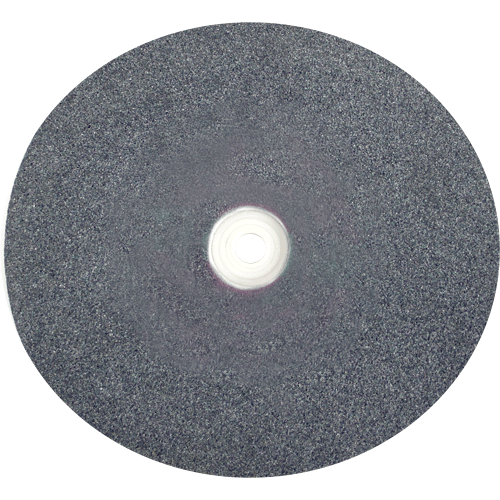 GRINDING WHEEL AN 250X40MM GREY P 36 - 50.80MM BORE - ALUMINIUM OXIDE(COARSE)